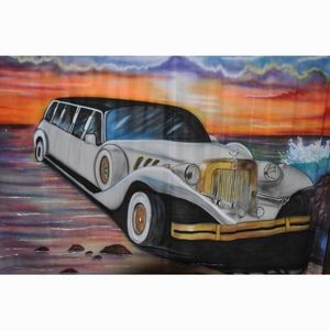 New Photography Backdrop 10ft/10ft